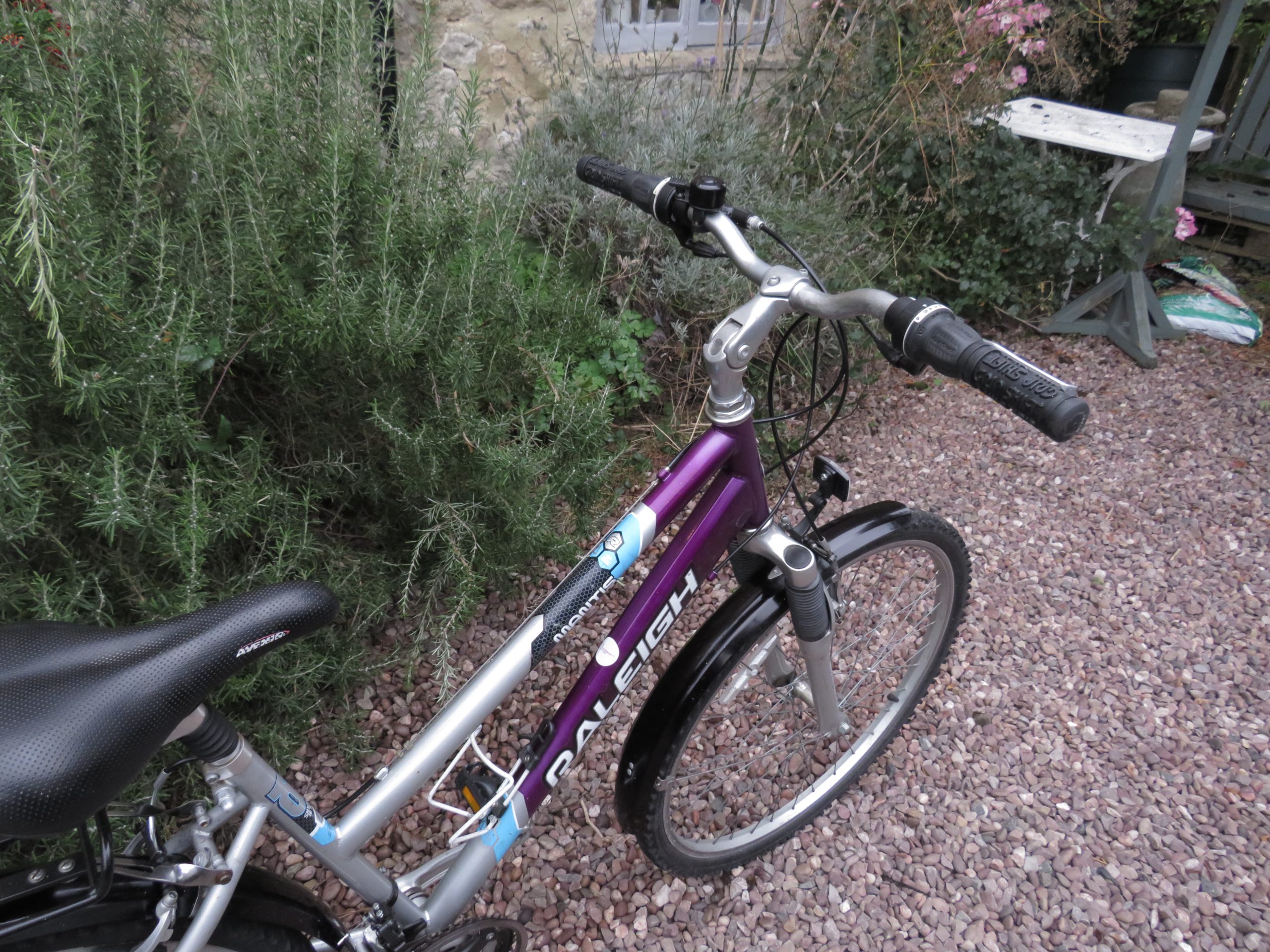 Raleigh Mantis - Image 2