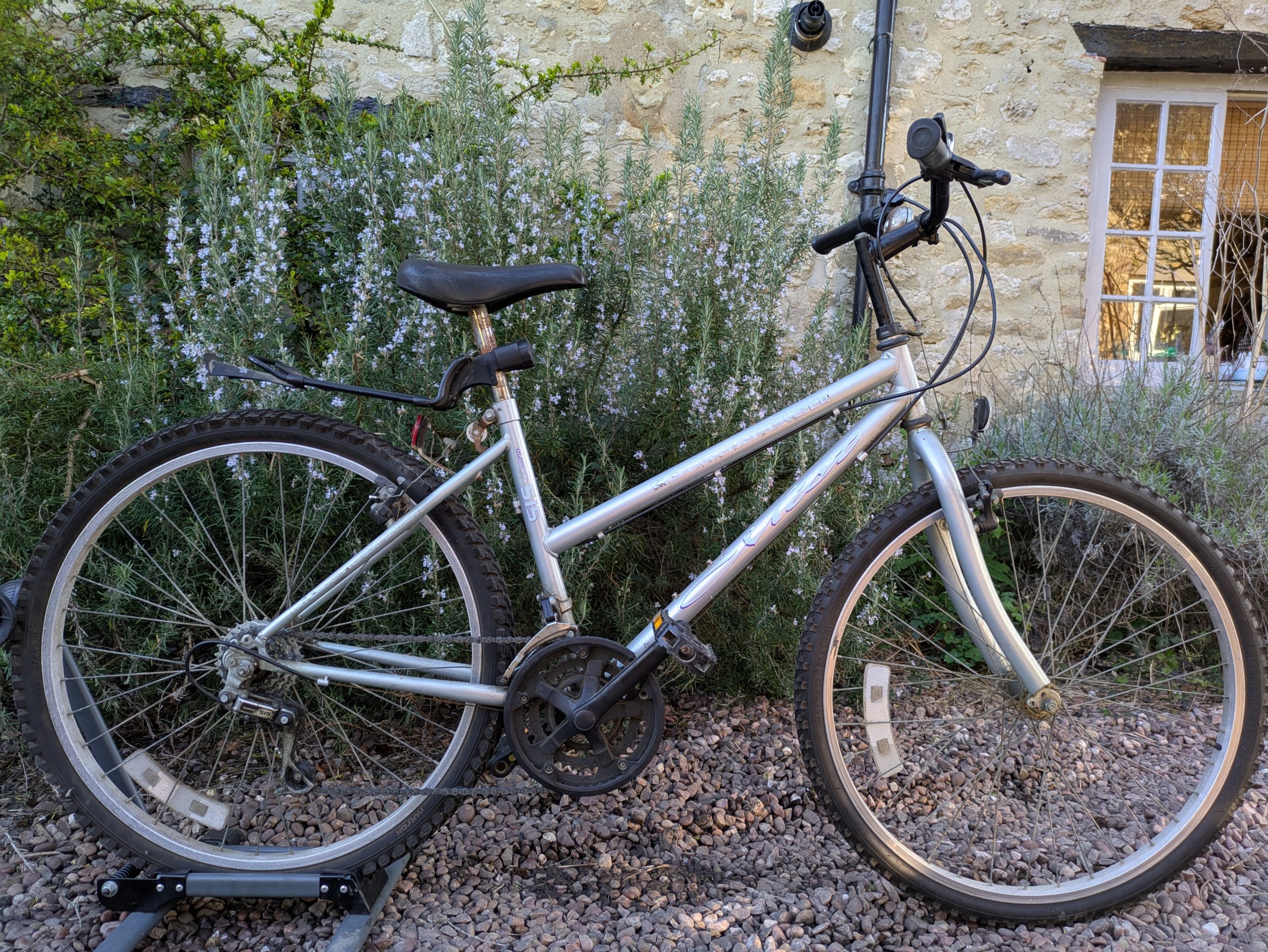 Coventry Eagle 46cm