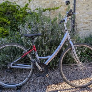 Raleigh Pioneer Metro 700c commuter 41cm
