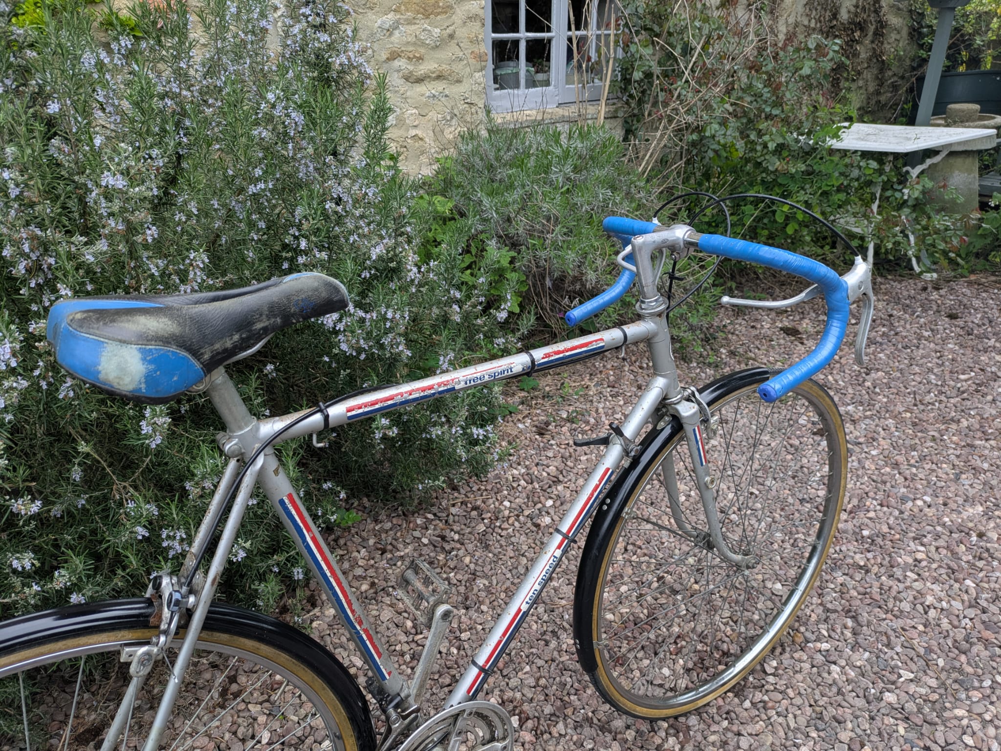 Puch Free Spirit 10 speed - Image 2