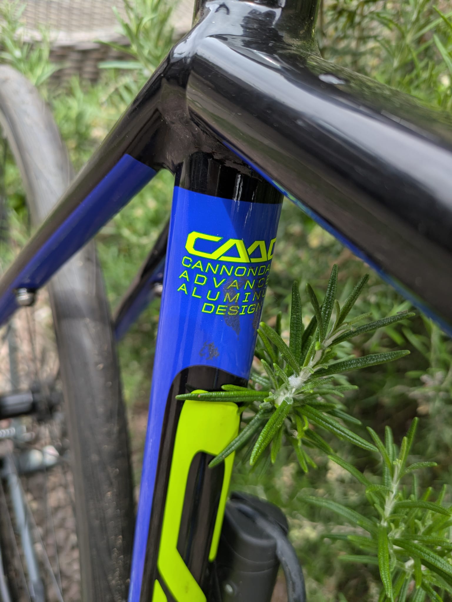 Cannondale Optima 700c Gravel - Image 12