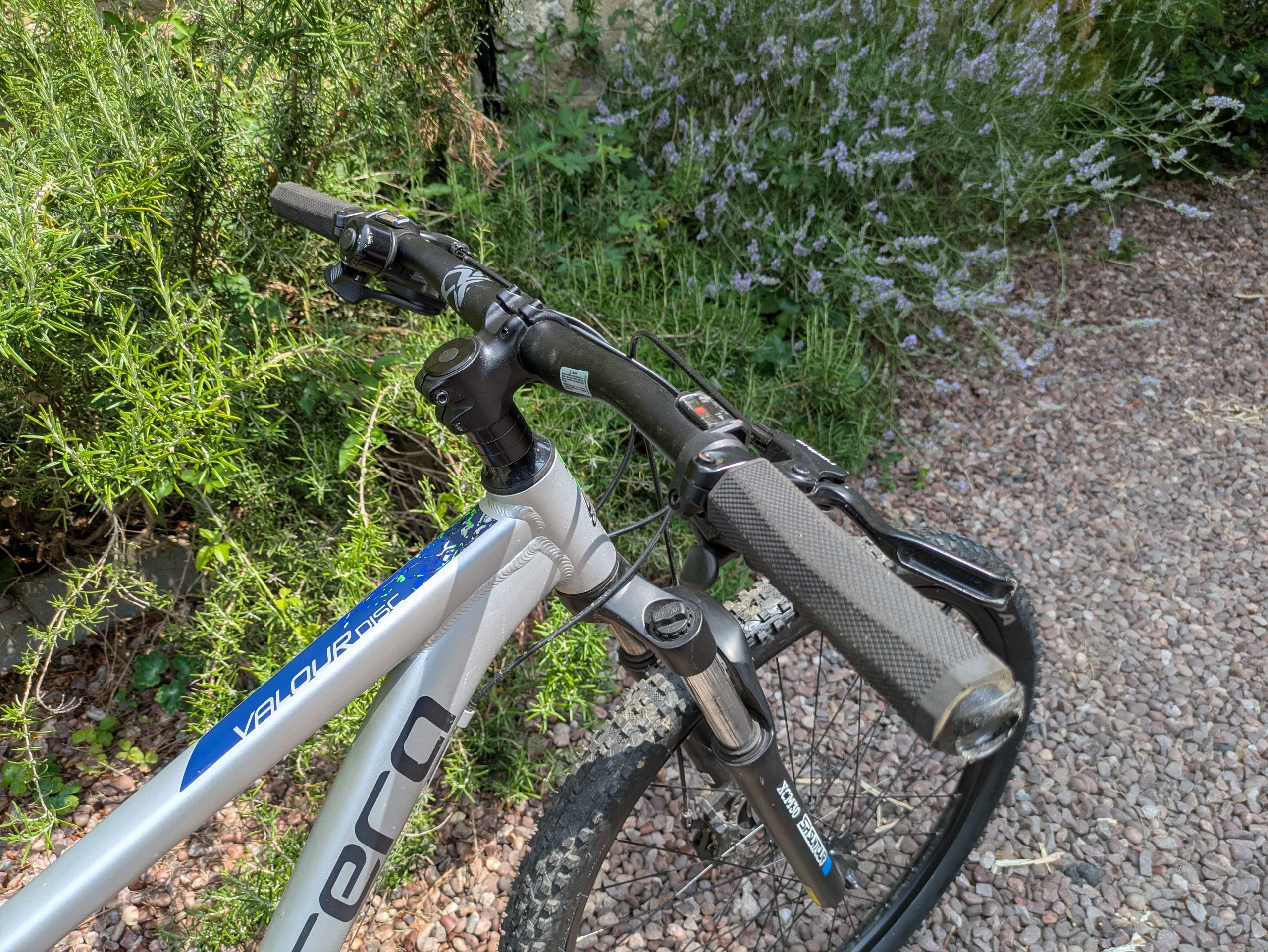 Carrera Valour (JUST SOLD) - Image 5