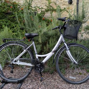 Apollo Eylse 700c