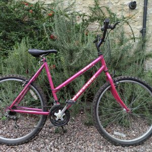 Raleigh Zest