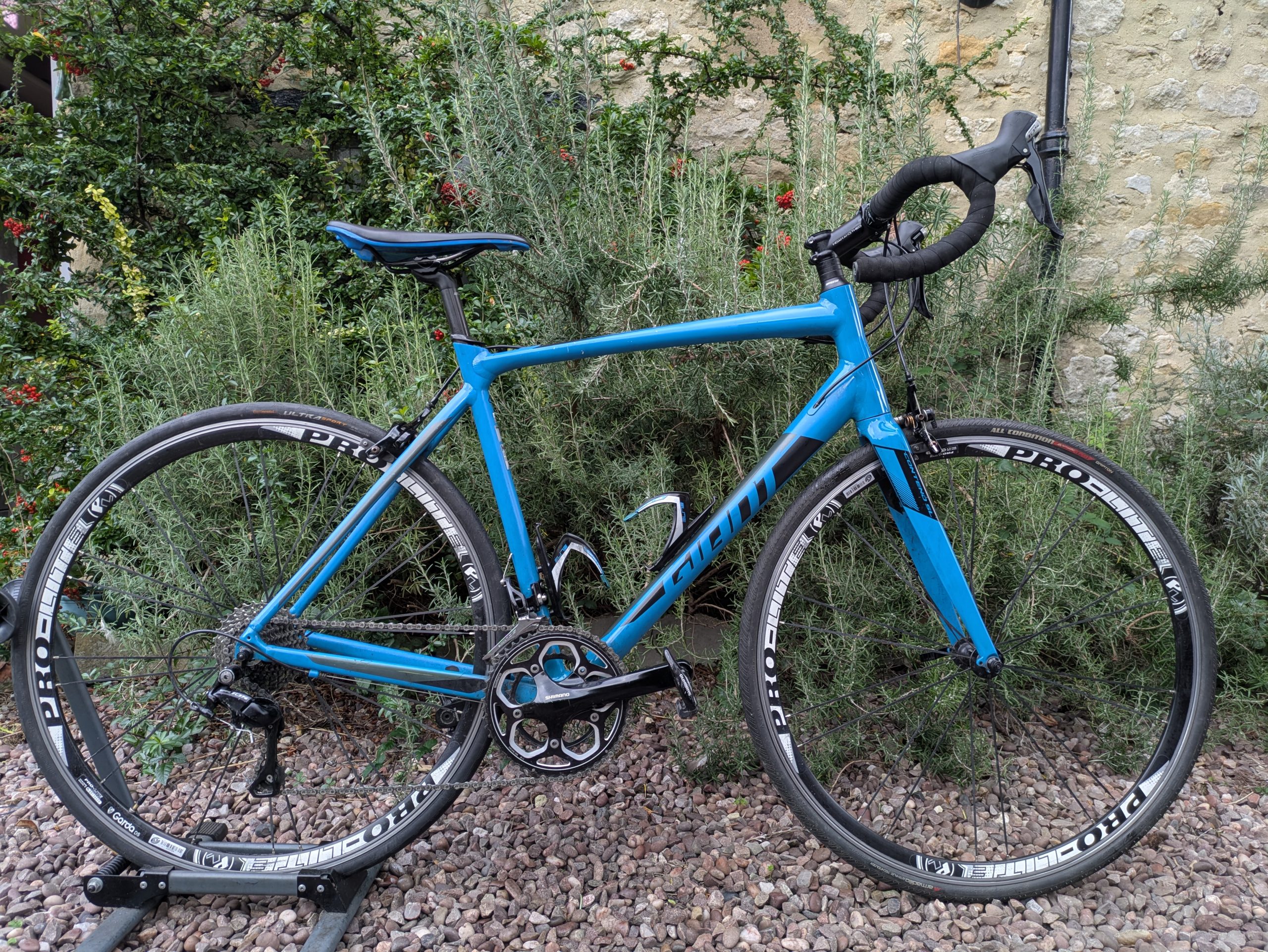 Giant Contend SL 700c